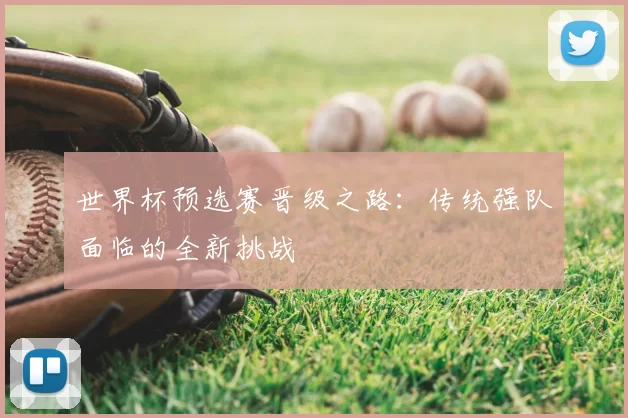 世界杯预选赛晋级之路:传统强队面临的全新挑战