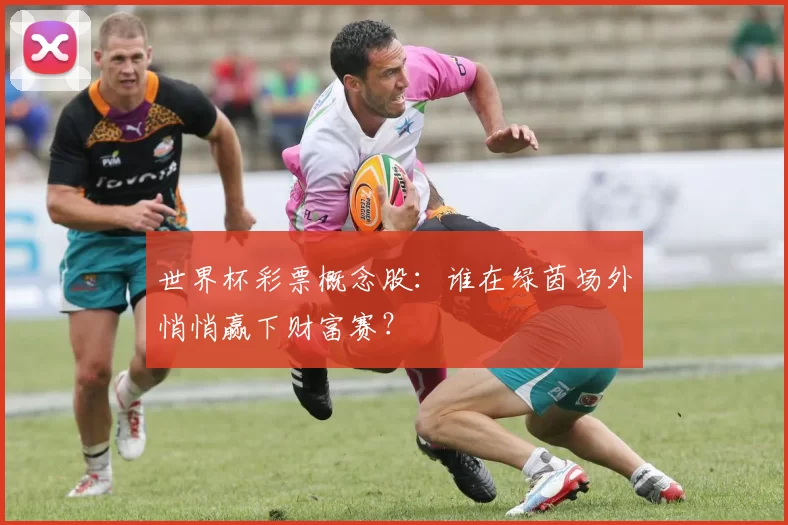世界杯彩票概念股:谁在绿茵场外悄悄赢下财富赛?