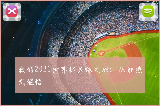 我的2021世界杯买球之旅:从狂热到醒悟