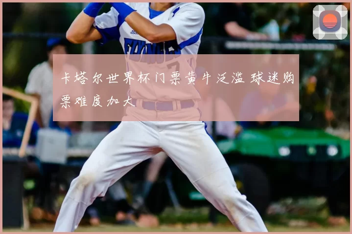 卡塔尔世界杯门票黄牛泛滥 球迷购票难度加大
