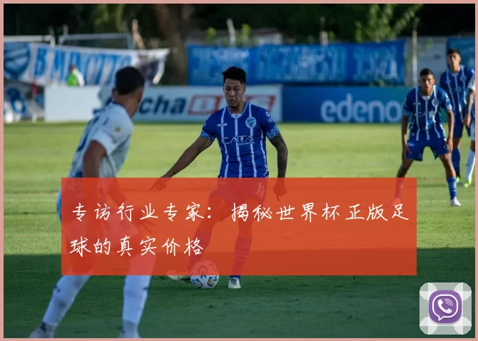 专访行业专家:揭秘世界杯正版足球的真实价格