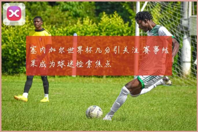 塞内加尔世界杯几分引关注 赛事结果成为球迷检索焦点