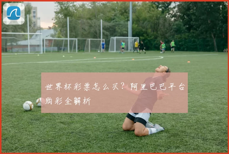 世界杯彩票怎么买？阿里巴巴平台购彩全解析