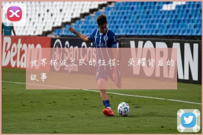 世界杯波兰队的征程:荣耀背后的故事