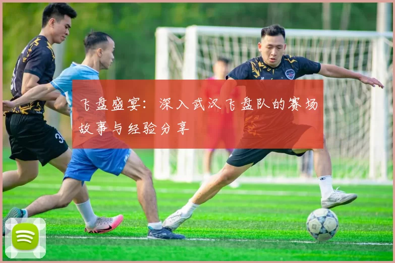 飞盘盛宴:深入武汉飞盘队的赛场故事与经验分享