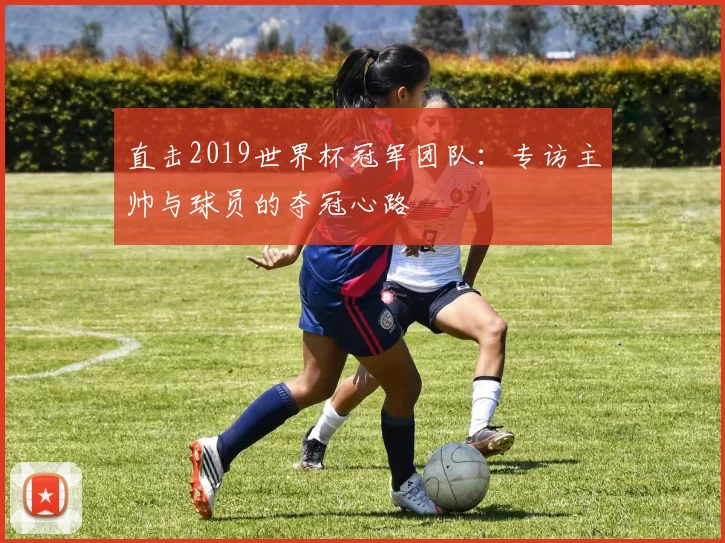 直击2019世界杯冠军团队:专访主帅与球员的夺冠心路