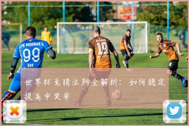 世界杯竞猜法则全解析:如何稳定提高中奖率
