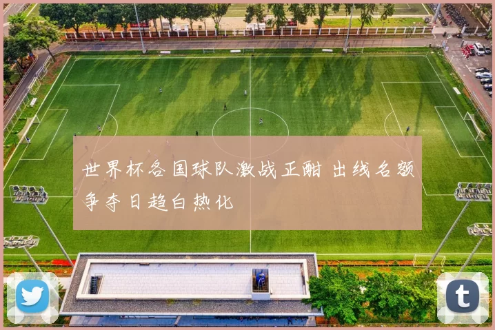 世界杯各国球队激战正酣 出线名额争夺日趋白热化