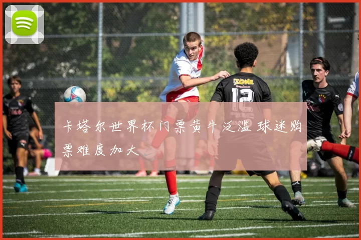 卡塔尔世界杯门票黄牛泛滥 球迷购票难度加大